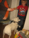 IMG_2507.v0_t.gif
