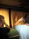 IMG_2684_t.gif