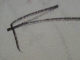 060317.arrow2_t.gif