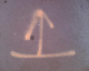 060323.arrow2_t.gif
