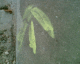 060323.arrow5_t.gif