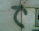 060325.arrow3_t.gif