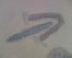 060404.A_arrow1_t.gif