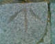 060513.Arrow_t.gif