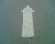 060707.Arrow8_t.gif