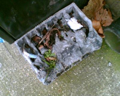 tracey moberly nee sanders-wood