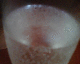 050730.furnchamp4_t.gif