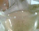 050927.champ5_t.gif