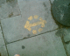 060507.C_bustop_t.gif