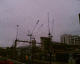 060812.cranes1_t.gif