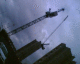 061018.crane3_t.gif