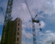 061018.crane5_t.gif