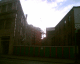 061115.crane3_t.gif