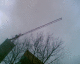 070211.crane1_t.gif
