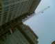070327.Crane_t.gif