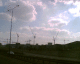 070409.cranes1_t.gif