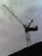 070414.crane1_t.gif