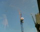 070419.crane2_t.gif
