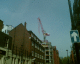 070421.crane1_t.gif