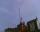 070426.crane3_t.gif