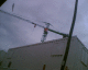 070526.crane4_t.gif