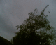 070526.crane7_t.gif