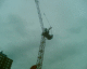 070526.crane8_t.gif