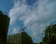 070712.crane3_t.gif