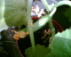 050627.b_t.gif