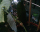 050719.cuc2_t.gif