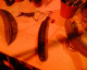 050723.cuc2_t.gif