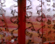 050614.jesus_t.gif