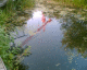 050627.vicMiroPond_t.gif