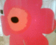 050711.glass_t.gif
