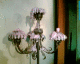 050712.ZigCand_t.gif