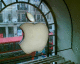 050725.apple_t.gif