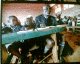 050801.bakSkool_t.gif