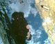 050803.SozDani_t.gif