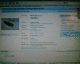050808.cucs_t.gif