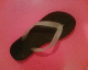 050808.rank_t.gif