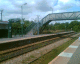 050811.pengam_t.gif