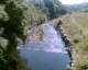 050816.river_t.gif