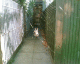 050828.web_t.gif