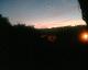 050830.harveynicks_t.gif