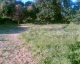 050903.paddock_t.gif