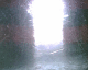 050904.carwash_t.gif