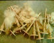 050910.dropSpindles_t.gif