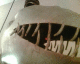 050912.Jaz'sTeeth_t.gif