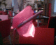050913.blurrypinkplant_t.gif