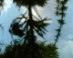 050914.spider_t.gif